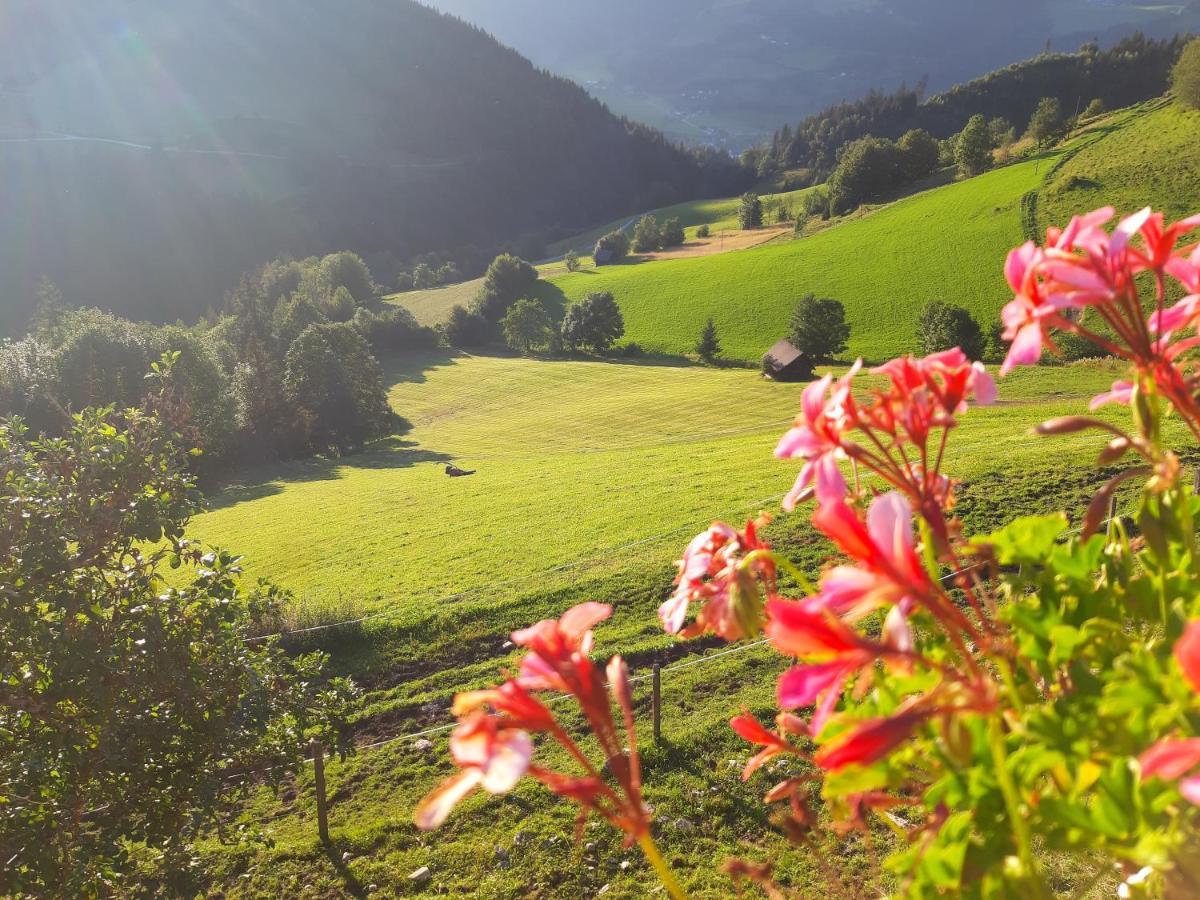 Schirfhof Villa Michaelerberg Dış mekan fotoğraf